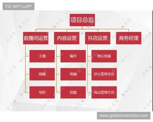 CSGO战术解析：深入探讨TES战队的运营策略与团队协作