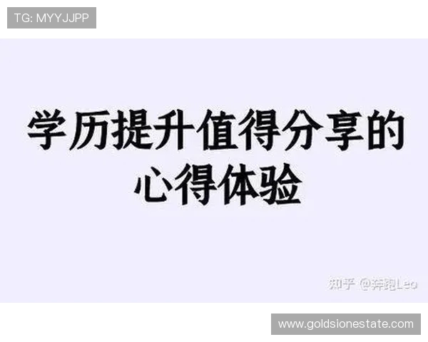 赵丽独家揭秘网球技巧与心得分享助你提升球技的秘密之道
